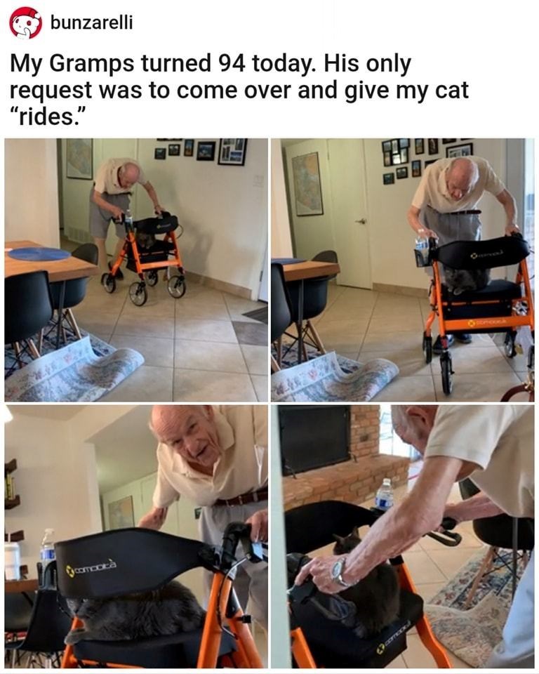 comodità bunzarelli My Gramps turned 94 today. His only request was to come over and give my cat "rides." comoxed