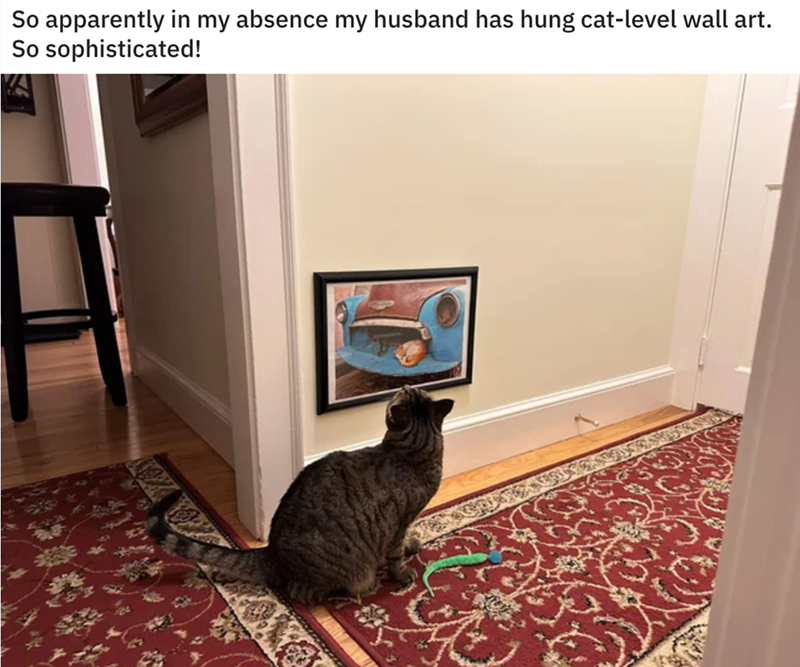 So apparently in my absence my husband has hung cat-level wall art. So sophisticated!
