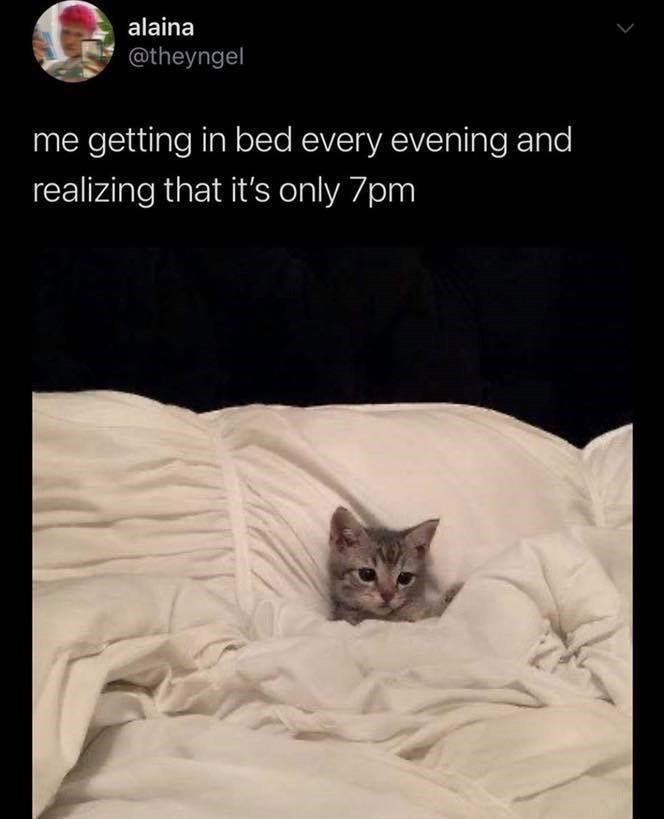 alaina @theyngel me getting in bed every evening and realizing that it's only 7pm