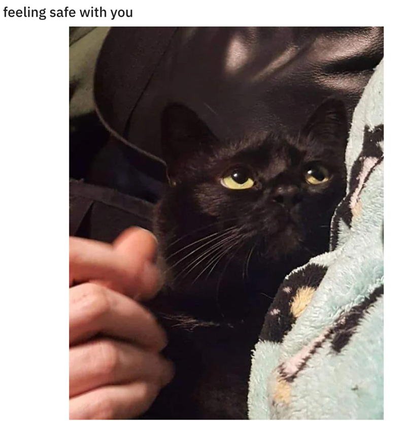 feeling safe with you