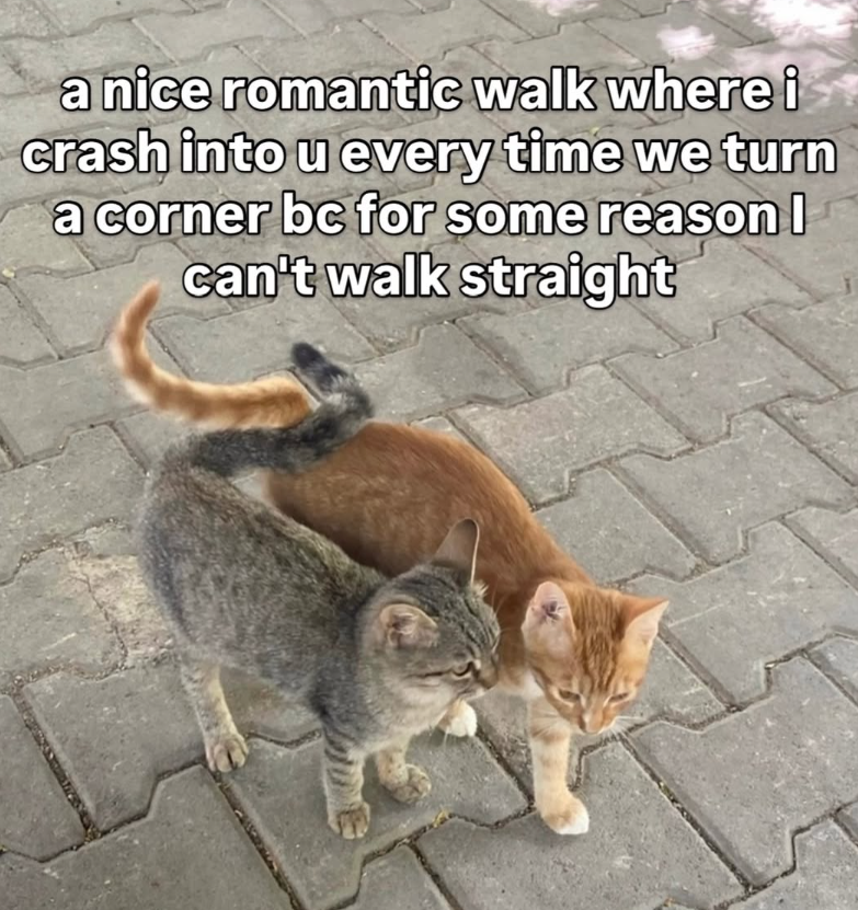 a nice romantic walk where i crash into u every time we turn a corner bc for some reason I can't walk straight