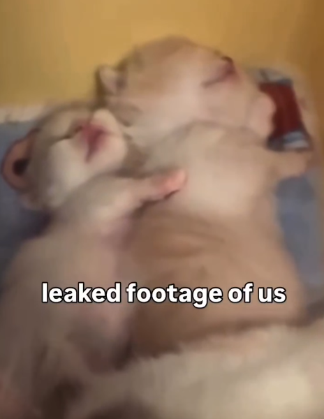 leaked footage of us