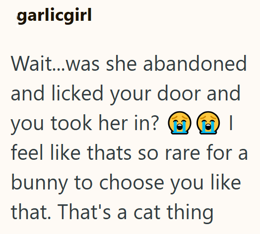 garlicgirl Wait...was she abandoned and licked your door and you took her in? I feel like thats so rare for a bunny to choose you like that. That's a cat thing