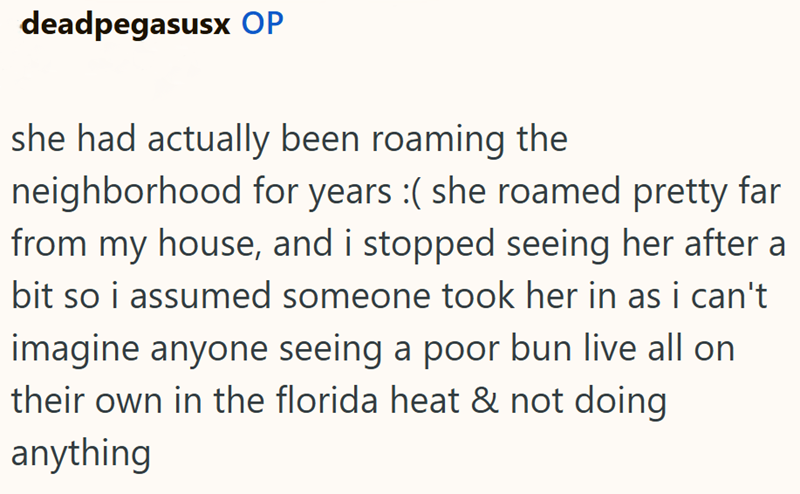 deadpegasusx OP she had actually been roaming the neighborhood for years :( she roamed pretty far from my house, and i stopped seeing her after a bit so i assumed someone took her in as i can't imagine anyone seeing a poor bun live all on their own in the florida heat & not doing anything