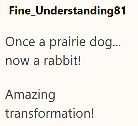 Fine_Understanding81 Once a prairie dog... now a rabbit! Amazing transformation!