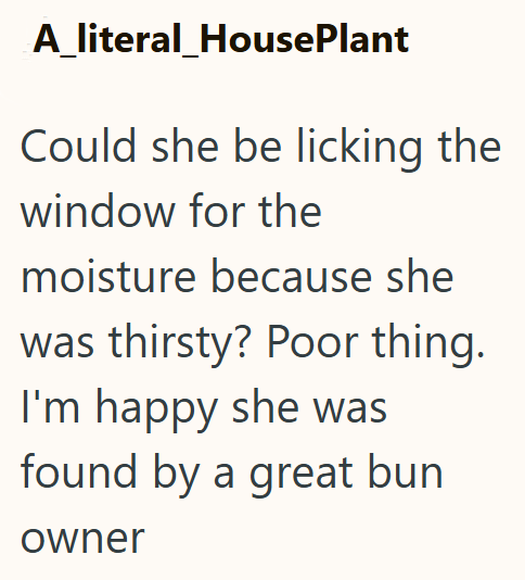 A_literal_HousePlant Could she be licking the window for the moisture because she was thirsty? Poor thing. I'm happy she was found by a great bun owner