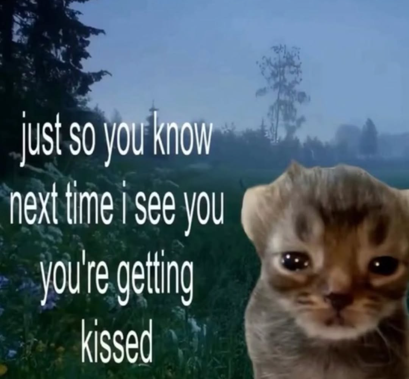 just so you know next time i see you you're getting kissed