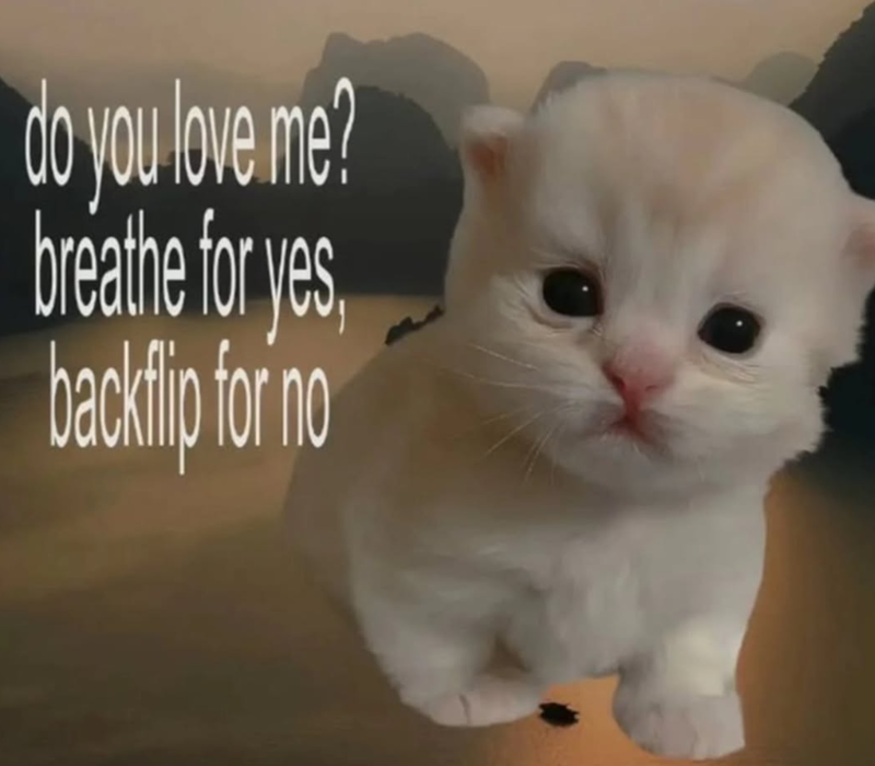 do you love me? breathe for yes, backflip for no