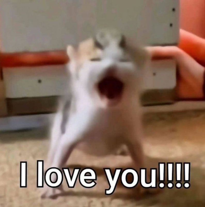 I love you!!!!