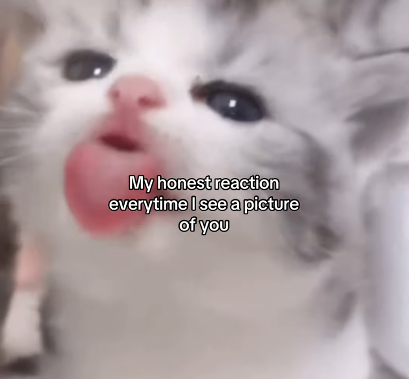 My honest reaction everytime I see a picture of you
