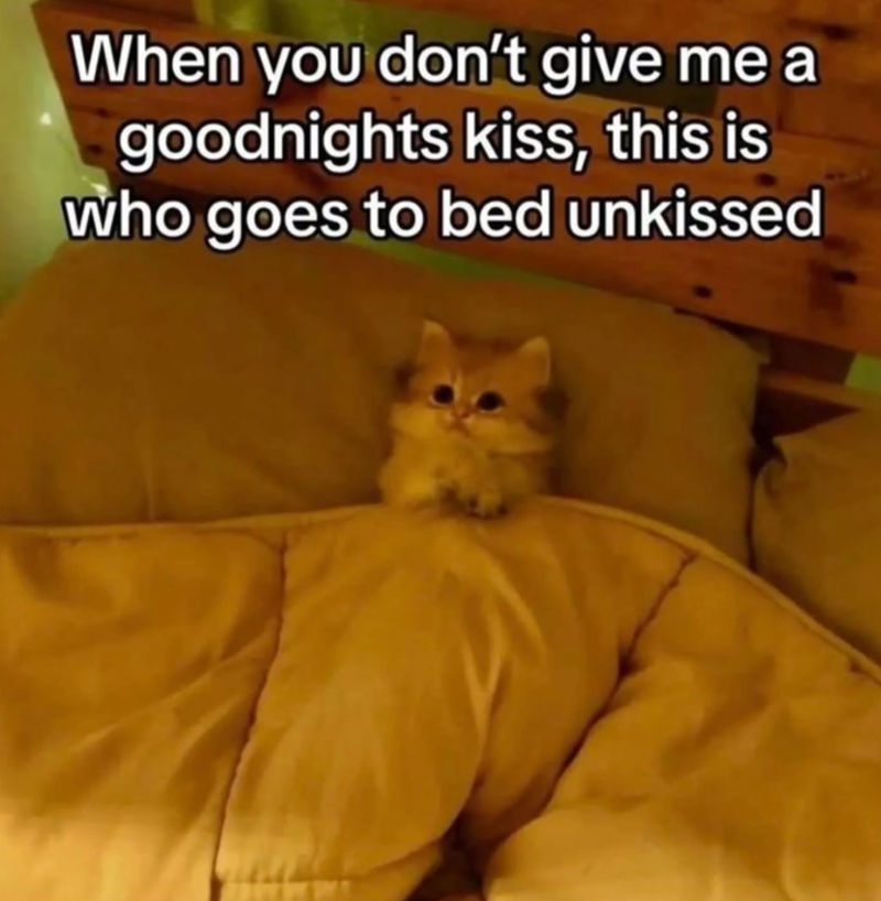 me a When you don't give goodnights kiss, this is who goes to bed unkissed