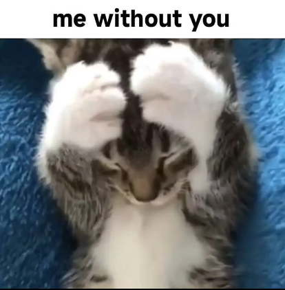 me without you