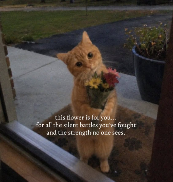 this flower is for you... for all the silent battles you've fought and the strength no one sees.
