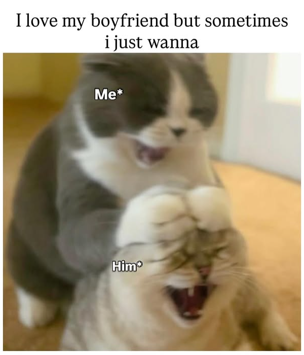 I love my boyfriend but sometimes i just wanna Me* Him