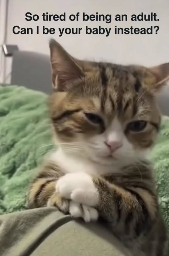 So tired of being an adult. Can I be your baby instead?