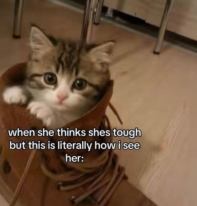 when she thinks shes tough but this is literally how i see her: