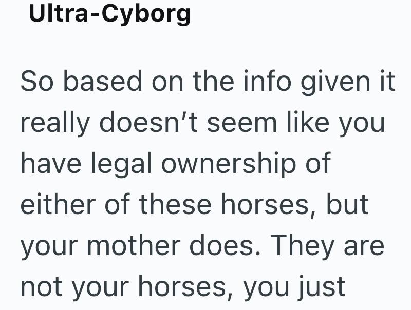 Ultra-Cyborg So based on the info given it really doesn't seem like you have legal ownership of either of these horses, but your mother does. They are not your horses, you just