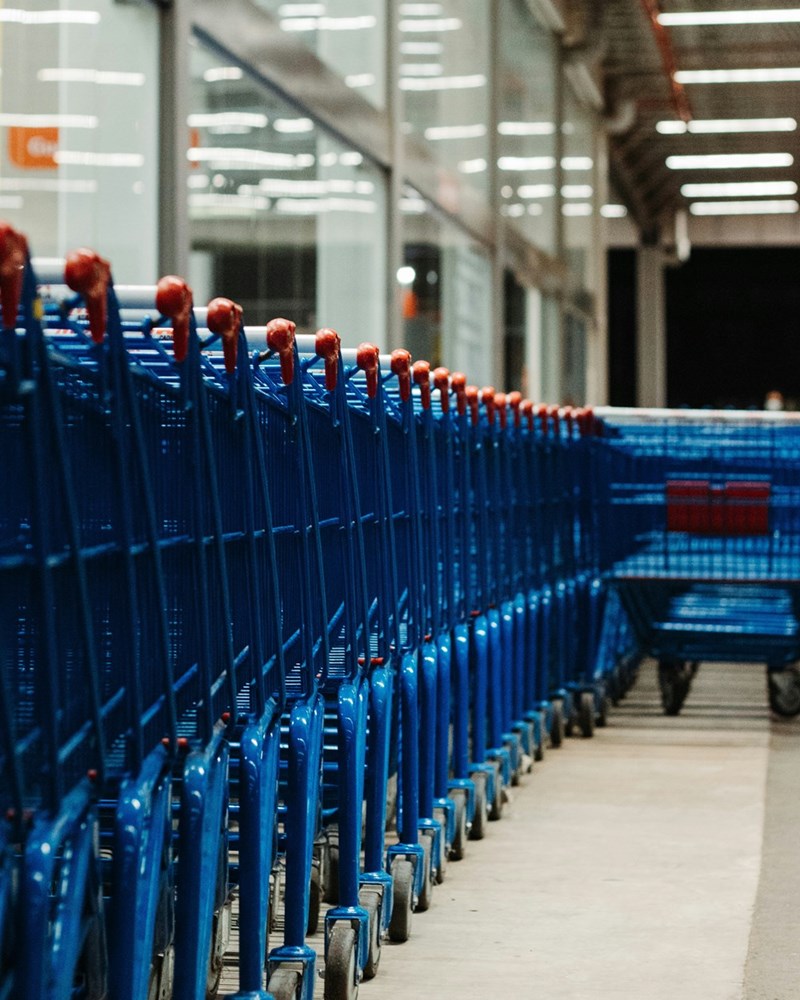 A long line of wrangled shopping carts, a job that should be able to be completed by somebody who has long hair. 