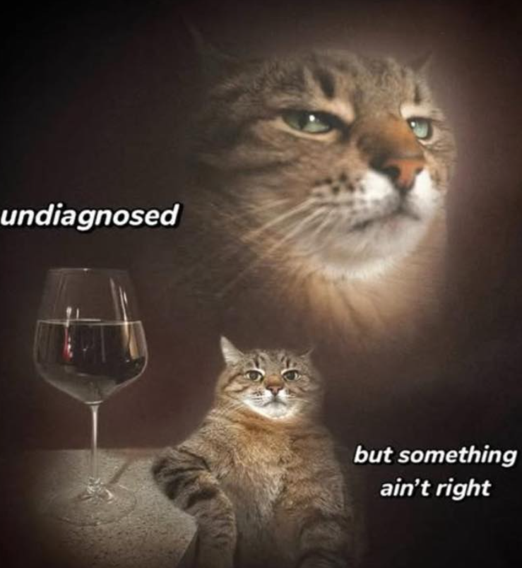 undiagnosed but something ain't right