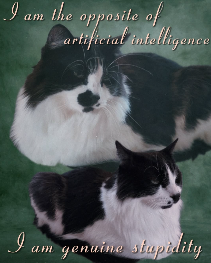 I am the opposite of artificial intelligence I am genuine stupidity