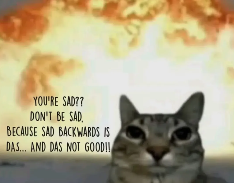 YOU'RE SAD?? DON'T BE SAD, BECAUSE SAD BACKWARDS IS DAS... AND DAS NOT GOOD!!