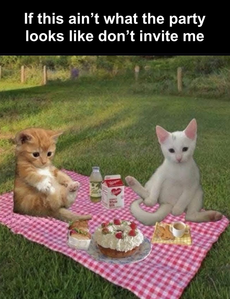 If this ain't what the party looks like don't invite me Whole Milk
