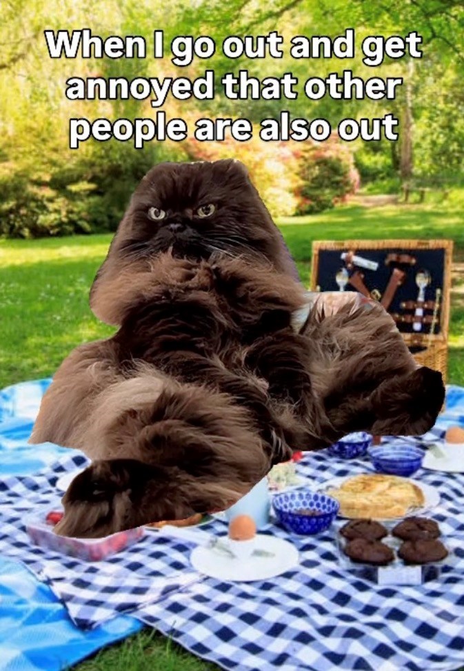 When I go out and get annoyed that other people are also out