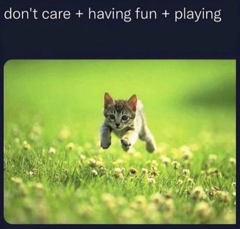 don't care + having fun + playing