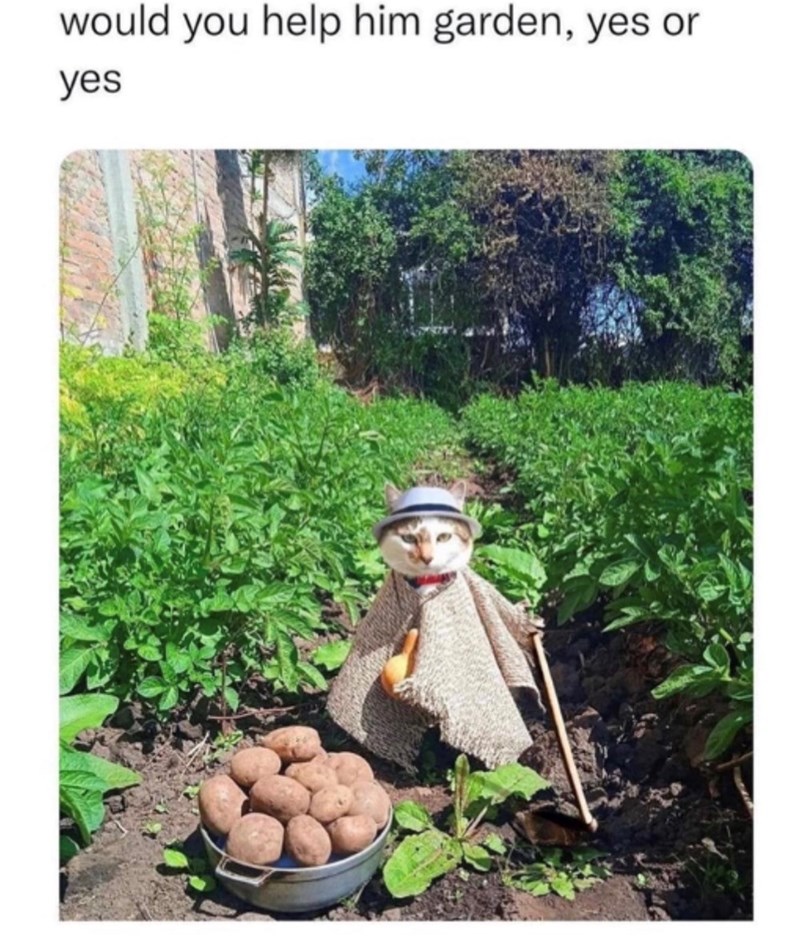 would you help him garden, yes or yes