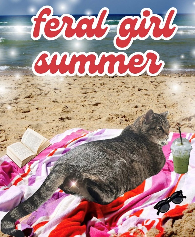 feral girl summer
