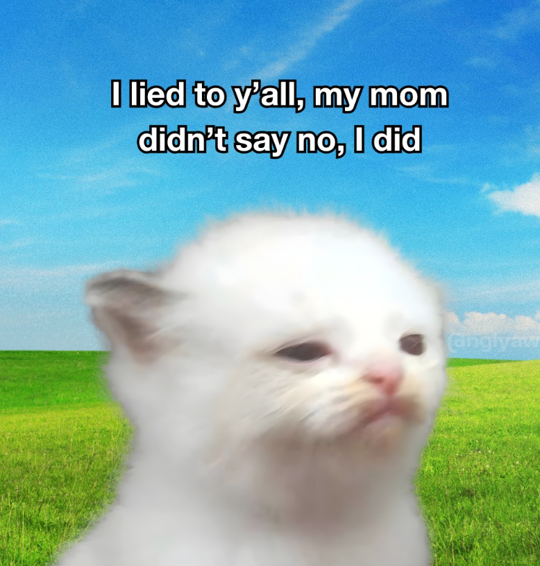 I lied to y'all, my mom didn't say no, I did angiyaw