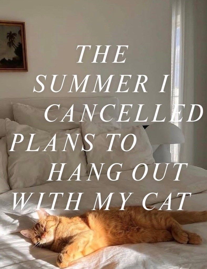 THE SUMMER I CANCELLED PLANS TO HANG OUT WITH MY CAT