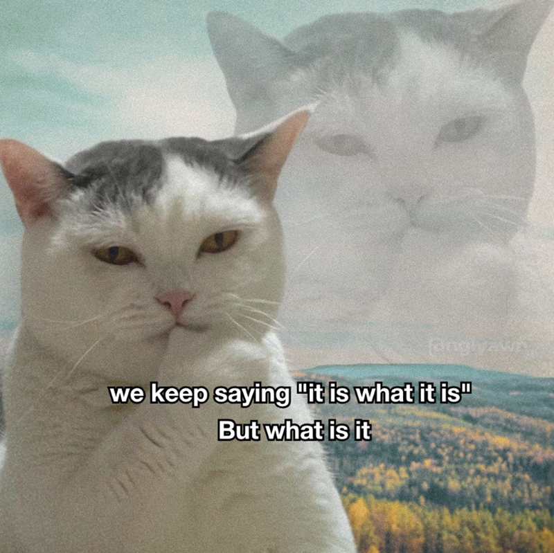 dinglyawn we keep saying "it is what it is" But what is it