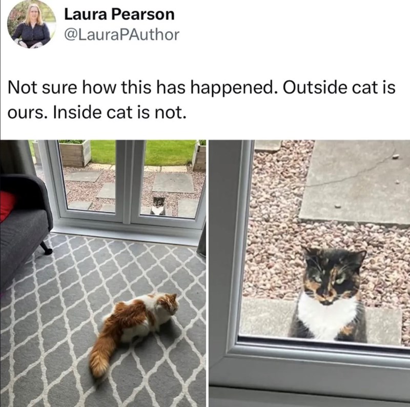 Laura Pearson @LauraPAuthor Not sure how this has happened. Outside cat is ours. Inside cat is not.