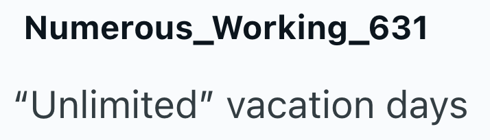 Numerous_Working_631 "Unlimited" vacation days