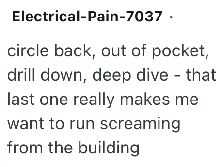 Electrical-Pain-7037 . circle back, out of pocket, drill down, deep dive - that last one really makes me want to run screaming from the building