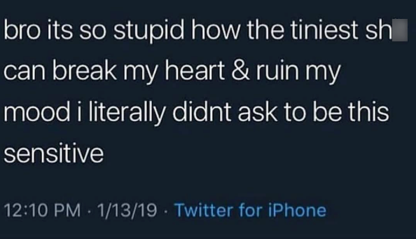 bro its so stupid how the tiniest sh can break my heart & ruin my mood i literally didnt ask to be this sensitive 12:10 PM 1/13/19 Twitter for iPhone