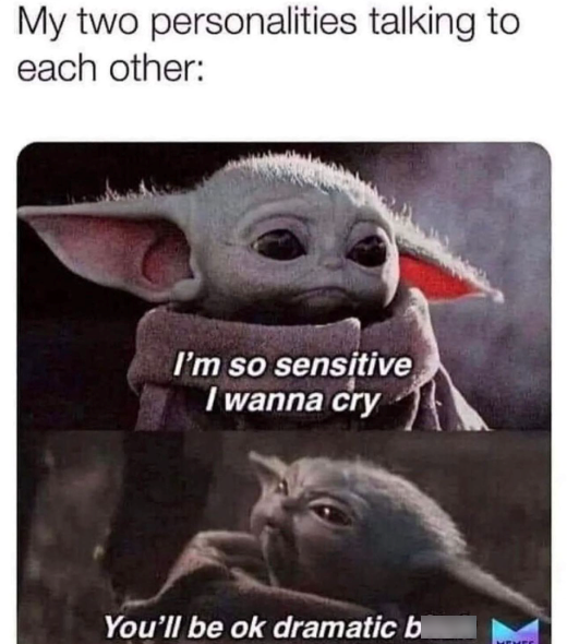 My two personalities talking to each other: I'm so sensitive I wanna cry You'll be ok dramatic b