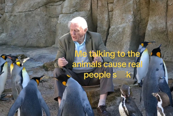Me talking to the animals cause real people sk