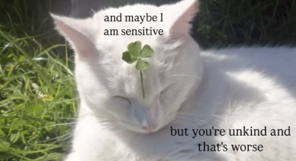 and maybe I am sensitive but you're unkind and that's worse