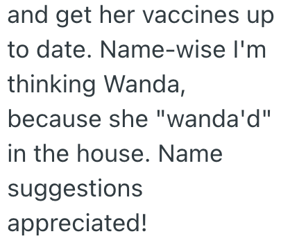 and get her vaccines up to date. Name-wise I'm thinking Wanda, because she "wanda'd" in the house. Name suggestions appreciated!