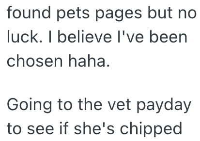 found pets pages but no luck. I believe I've been chosen haha. Going to the vet payday to see if she's chipped