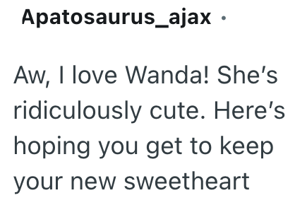 Apatosaurus_ajax. Aw, I love Wanda! She's ridiculously cute. Here's hoping you get to keep your new sweetheart
