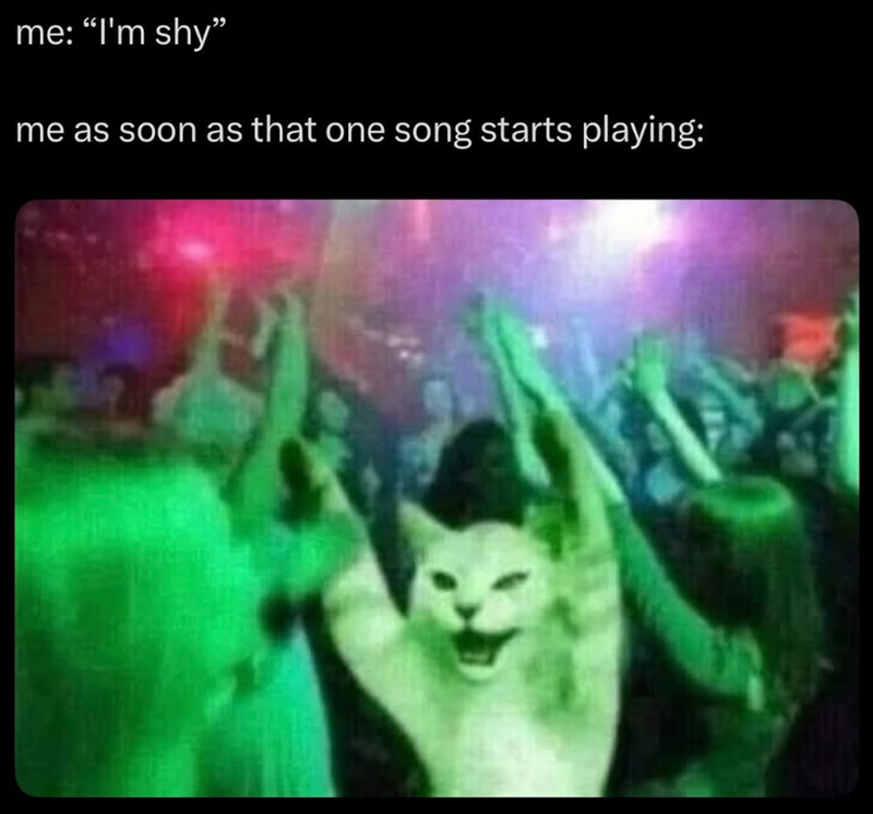 me: "I'm shy" me as soon as that one song starts playing:
