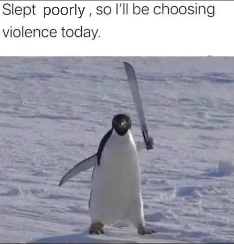 Slept poorly, so I'll be choosing violence today.