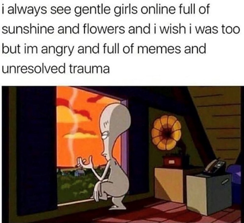 i always see gentle girls online full of sunshine and flowers and i wish i was too but im angry and full of memes and unresolved trauma
