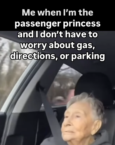 Me when I'm the passenger princess and I don't have to worry about gas, directions, or parking