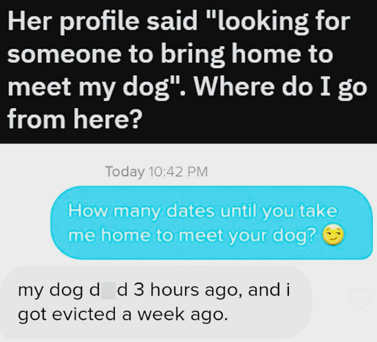 Her profile said "looking for someone to bring home to meet my dog". Where do I go from here? Today 10:42 PM How many dates until you take me home to meet your dog? my dog died 3 hours ago, and i got evicted a week ago.
