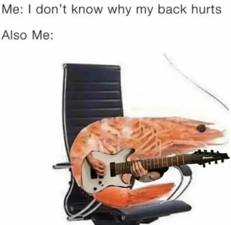 a-medley-of-27-musician-memes-perfectly-tuned-for-bandmates-solo