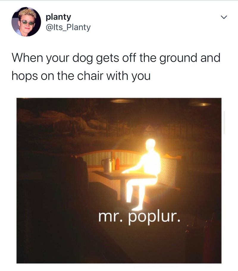 planty @Its_Planty When your dog gets off the ground and hops on the chair with you ர mr. poplur.